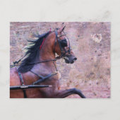 Hackney Grunge Postkarte (Vorderseite)