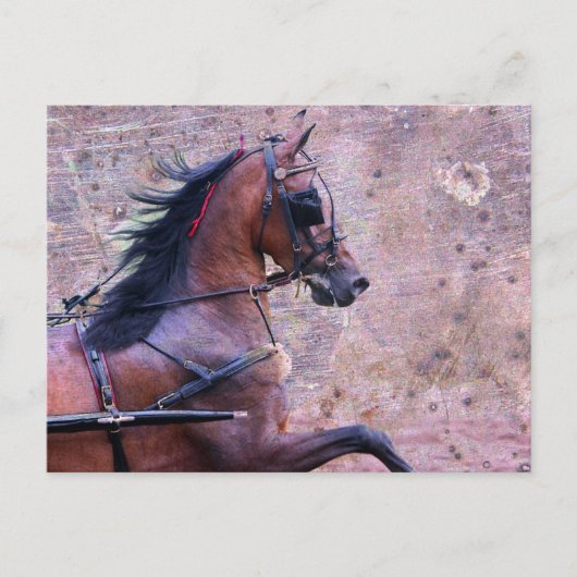 Hackney Grunge Postkarte (Vorderseite)