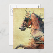 Hackney Pony Postkarte (Vorne/Hinten)