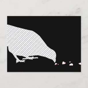 Hackordnung Postkarte