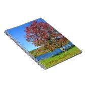 Haddam Meadows-Notebook Notizblock (Rechte Seite)
