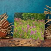 Haddam Meadows Wildblumen Plaque Fotoplatte (Seite)