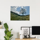 Hadrians Lücke in der Mauer, Sycamore Tree Poster (Heimbüro)