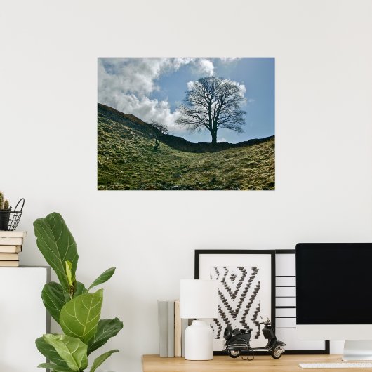 Hadrians Lücke in der Mauer, Sycamore Tree Poster (Heimbüro)