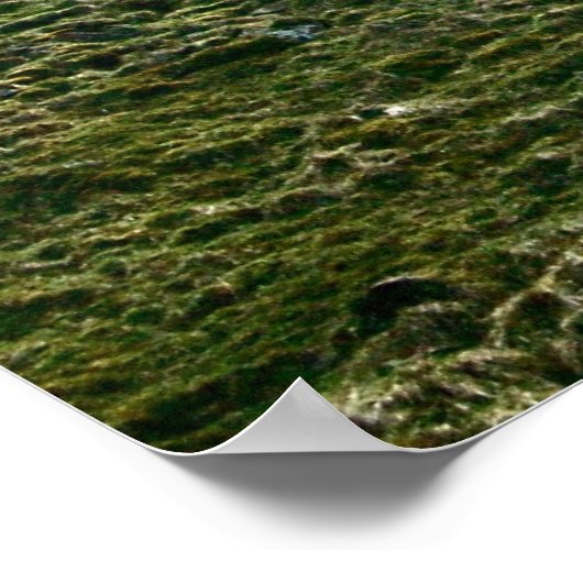 Hadrians Lücke in der Mauer, Sycamore Tree Poster (Ecke)