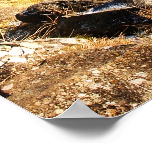 Hadrians Wall Poster/Print Poster (Ecke)