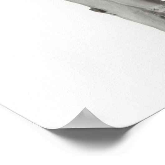 Hadrianstatue (Marmor) Poster (Ecke)