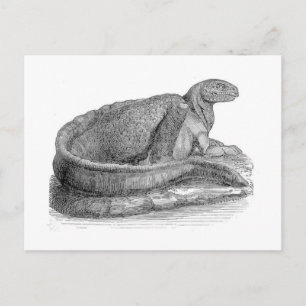 Hadrosaurus Skulptur Antique Print Postkarte