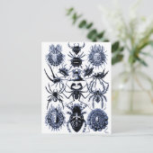 Haeckel Arachnida Spiders in Blue Postkarte (Stehend Vorderseite)