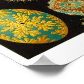 HAECKEL-ASCIDIACEA POSTER (Ecke)