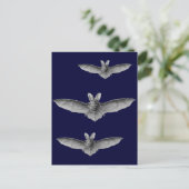 Haeckel Bat Postkarte (Stehend Vorderseite)