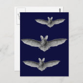 Haeckel Bat Postkarte (Vorne/Hinten)