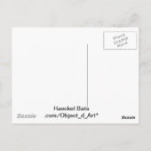 Haeckel Bat Postkarte (Rückseite)