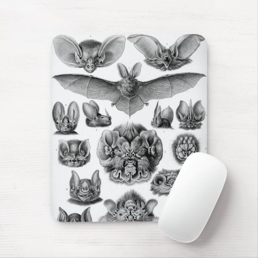 Haeckel Bats Mousepad (Mit Mouse)