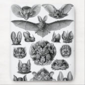 Haeckel Bats Mousepad (Vorne)