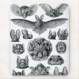 Haeckel Bats Mousepad