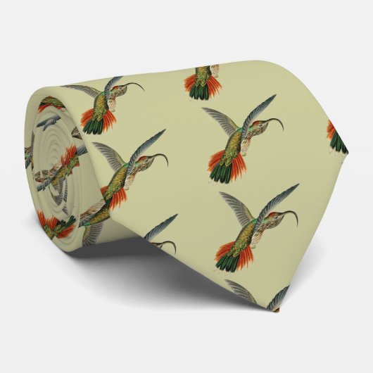 Haeckel Bird Krawatte (Gerollt)