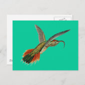 Haeckel Bird Postkarte (Vorne/Hinten)