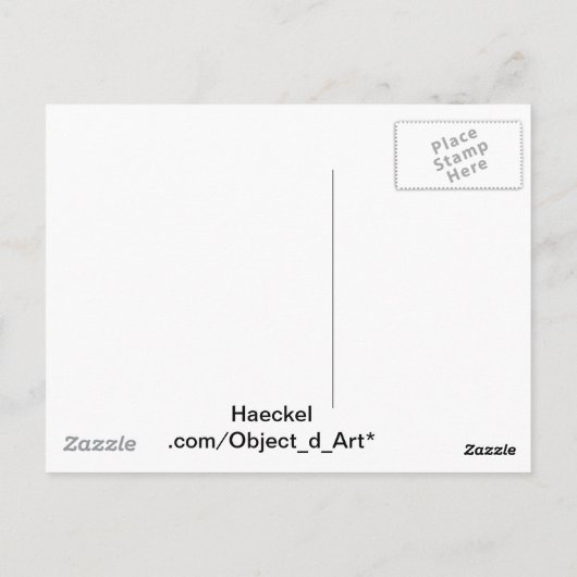 Haeckel Bird Postkarte (Rückseite)