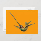 Haeckel Bird Postkarte (Vorne/Hinten)