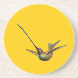 Haeckel Bird Sandstein Untersetzer