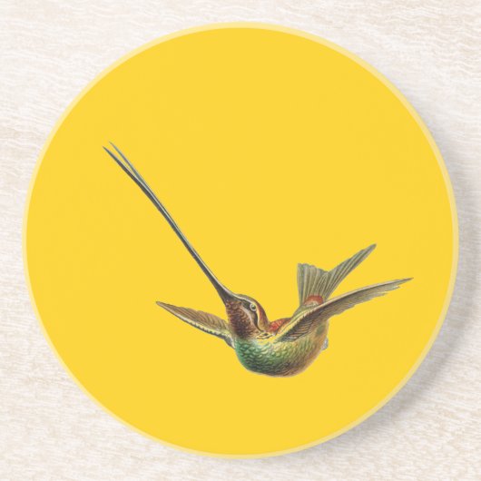 Haeckel Bird Sandstein Untersetzer (Vorne)