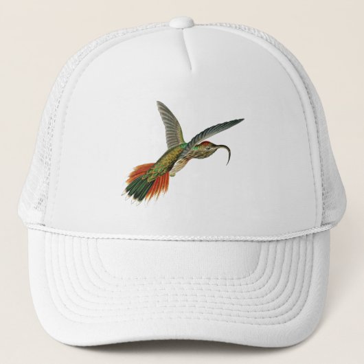 Haeckel Bird Truckerkappe (Vorderseite)
