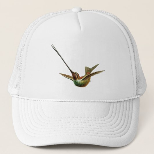 Haeckel Bird Truckerkappe (Vorderseite)