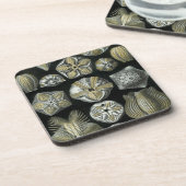 Haeckel Black Getränkeuntersetzer (Linke Seite)