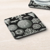 Haeckel Black Untersetzer (Linke Seite)