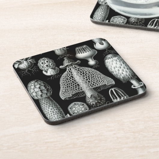 Haeckel Black Untersetzer (Linke Seite)