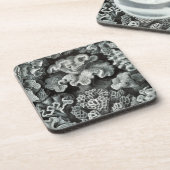 Haeckel Black Untersetzer (Linke Seite)