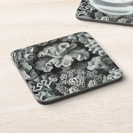 Haeckel Black Untersetzer (Linke Seite)