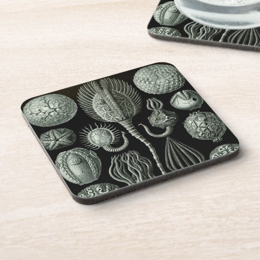 Haeckel Black Untersetzer (Linke Seite)