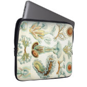 Haeckel Bryozoa Laptopschutzhülle (Vorne Rechts)
