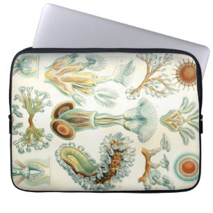 Haeckel Bryozoa Laptopschutzhülle