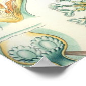 Haeckel Bryozoa Poster (Ecke)
