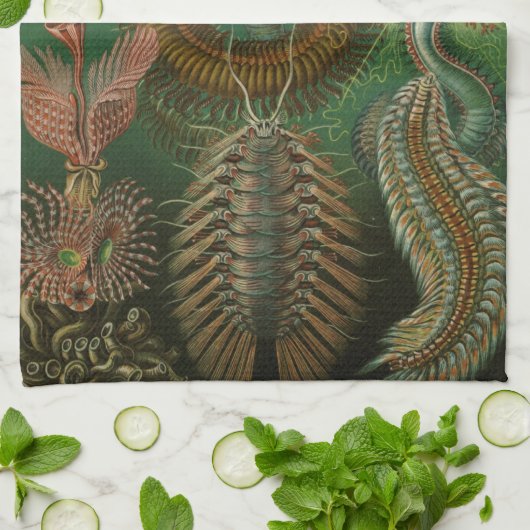 Haeckel Bugs Geschirrtuch (Gefaltet)