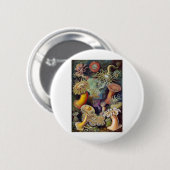 Haeckel Button (Vorne & Hinten)