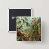 Haeckel Button (Vorne & Hinten)