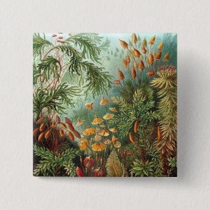 Haeckel Button