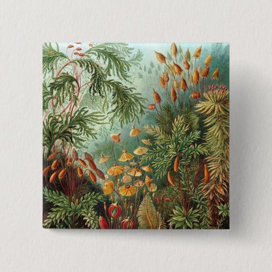 Haeckel Button (Vorderseite)