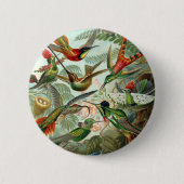 Haeckel Button (Vorderseite)