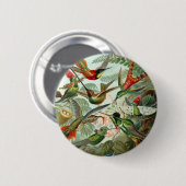 Haeckel Button (Vorne & Hinten)