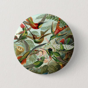 Haeckel Button
