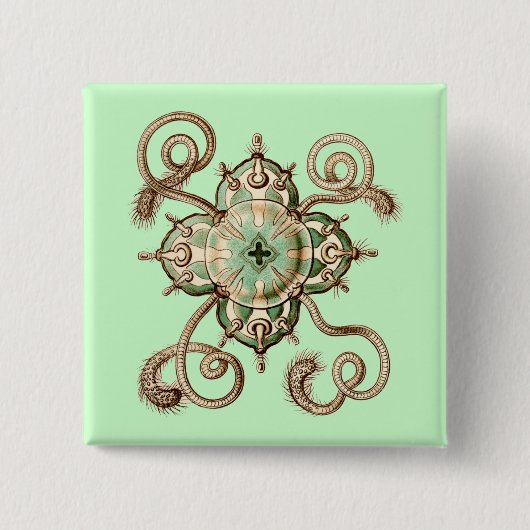 Haeckel Button (Vorderseite)