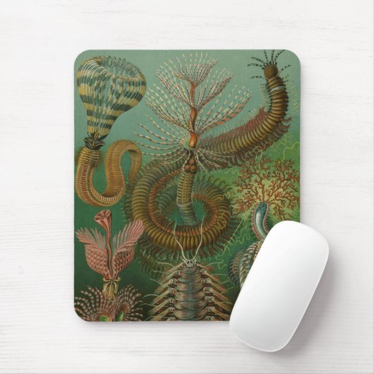 Haeckel Centipedes Mousepad (Mit Mouse)