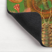 Haeckel Centipedes Mousepad (Ecke)