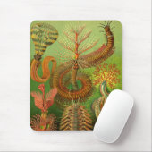 Haeckel Centipedes Mousepad (Mit Mouse)