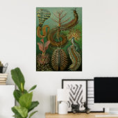 Haeckel Centipedes Poster (Heimbüro)